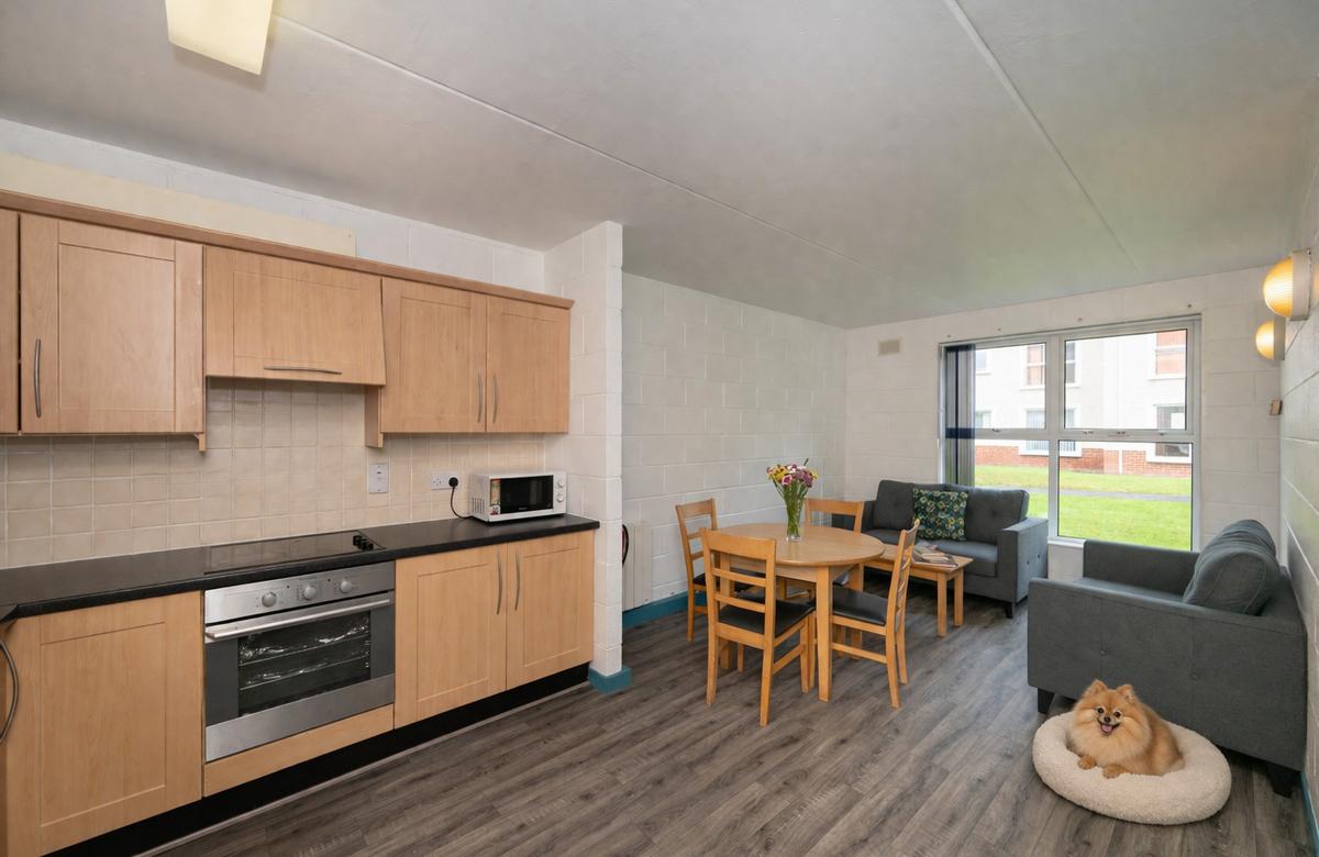 UCC Summer Beds | Cork | Dog-Friendly Stays at Castlewhite
